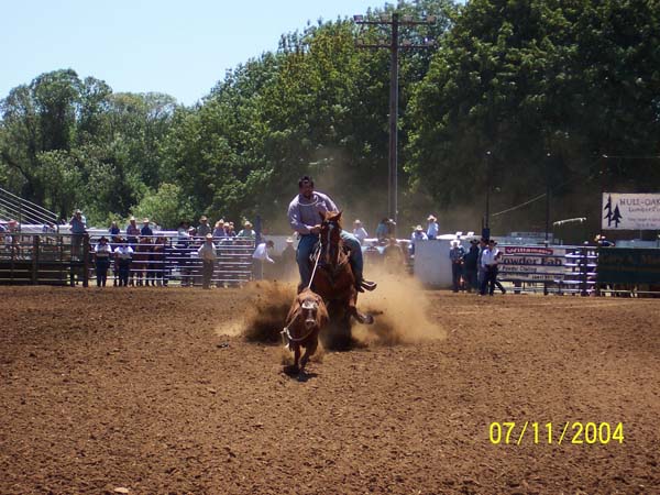 frolic rodeo 1