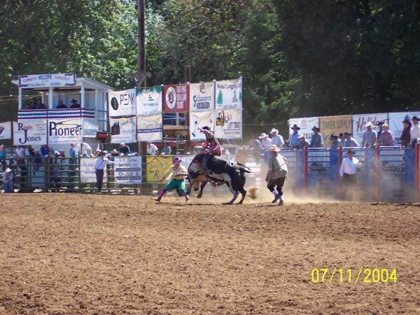 frolic rodeo 10