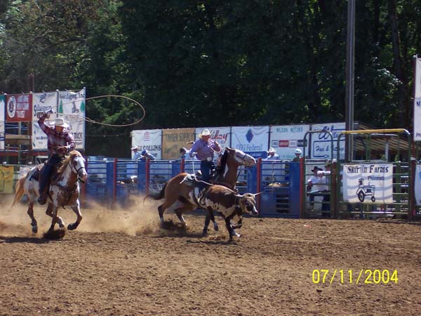 frolic rodeo 11